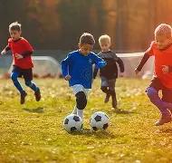 荷兰队,场比赛加克,波打入,开云入口官网,开云入口,开云平台登录,开云全站服务,开云代理